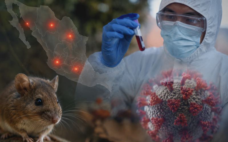 Hantavirus en México, emiten aviso epidemiológico: qué es, cómo se contagia y qué medidas tomar